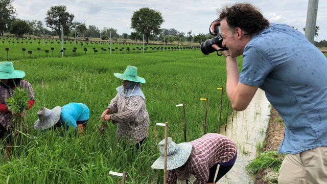 Chainat Farmers pay less with greenhouse gas reduction farming method