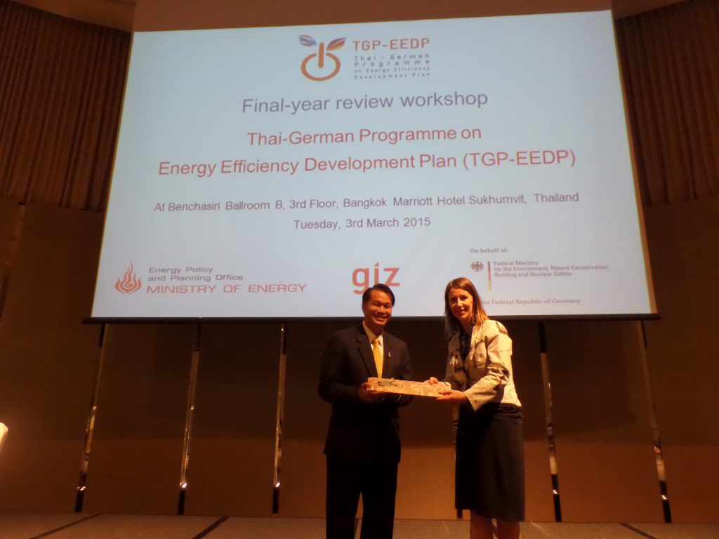 Final-Year Review Workshop of TGP-EEDP Project