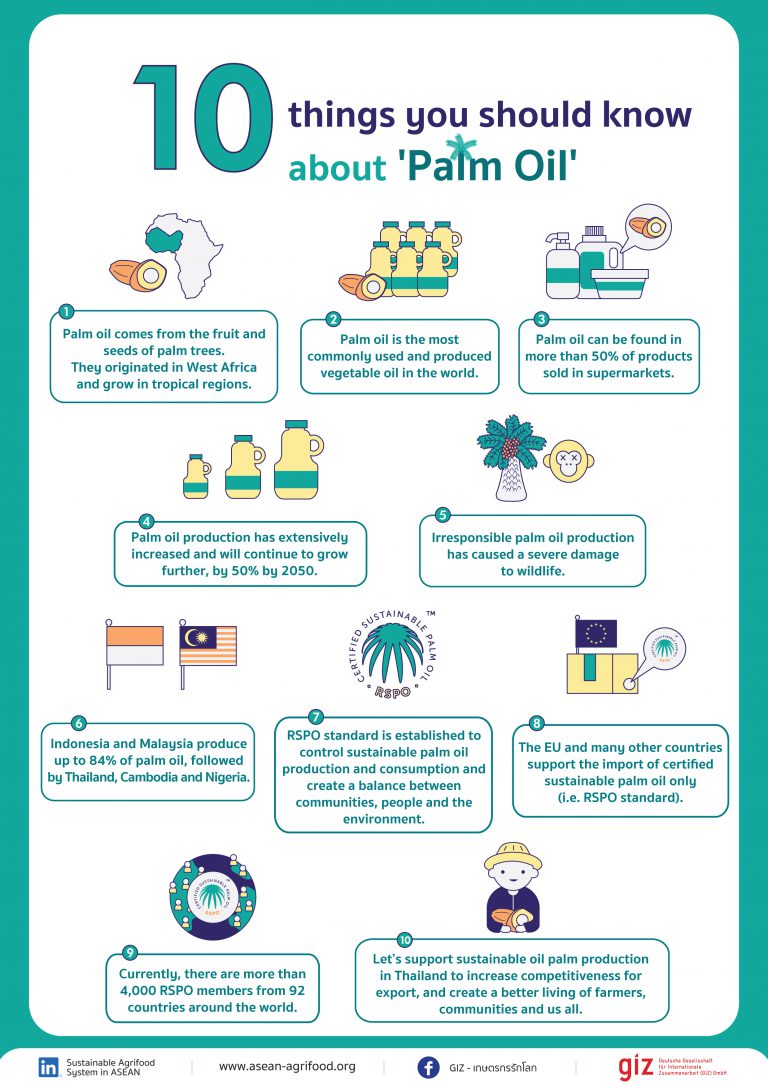 10 things you should know about ‘Palm Oil’ ThaiGerman Cooperation