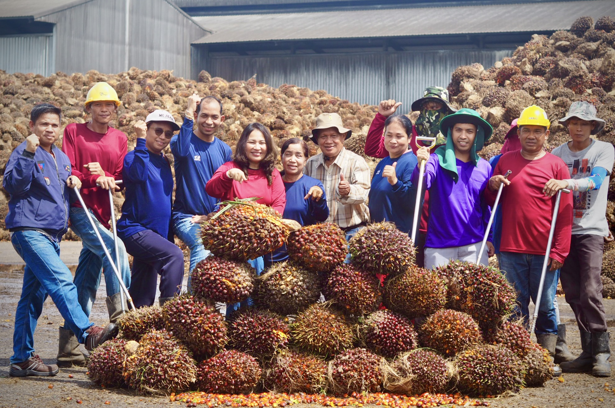 Sustainable Palm Oil Production and Procurement Project on Climate Mitigation and Adaptation (SPOPP CLIMA)